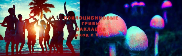 СК Алексин
