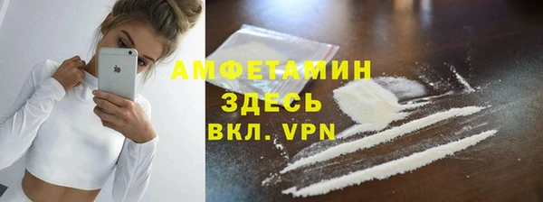 СК Алексин