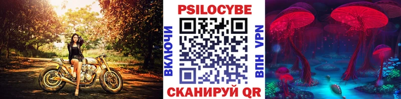 Галлюциногенные грибы прущие грибы  как найти   Отрадная 